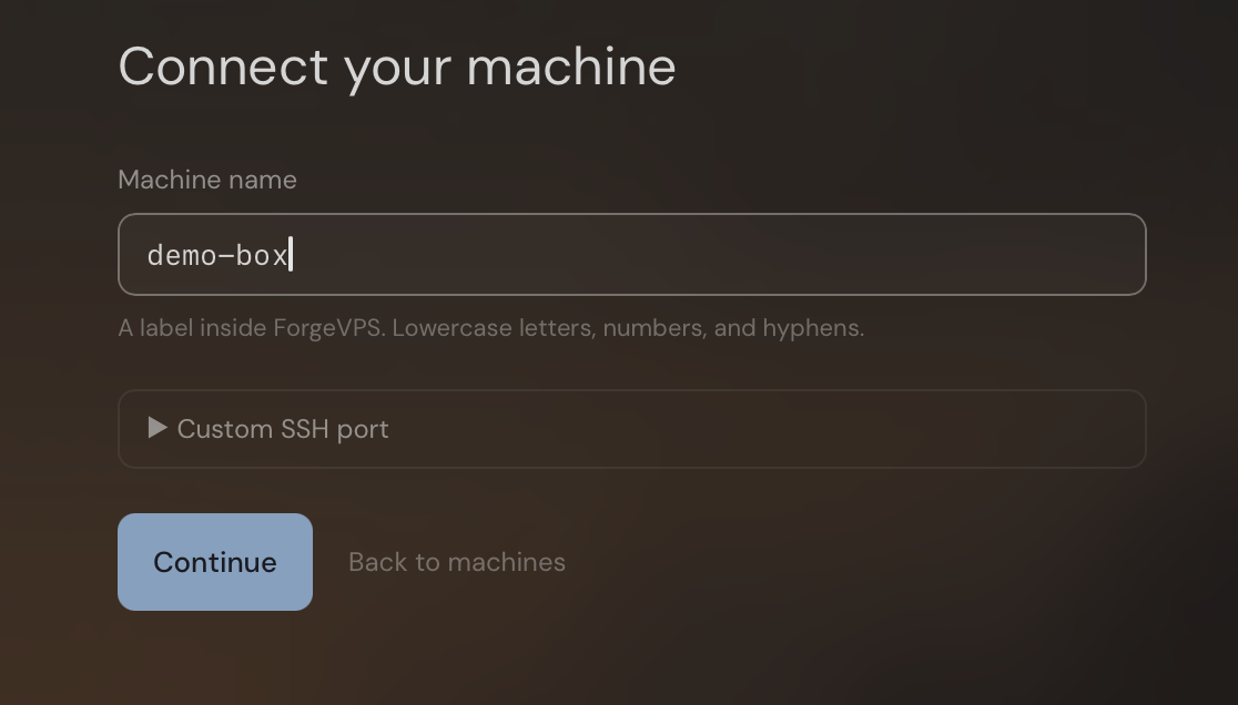ForgeVPS Connect your machine form with demo-box entered and the Continue button below.